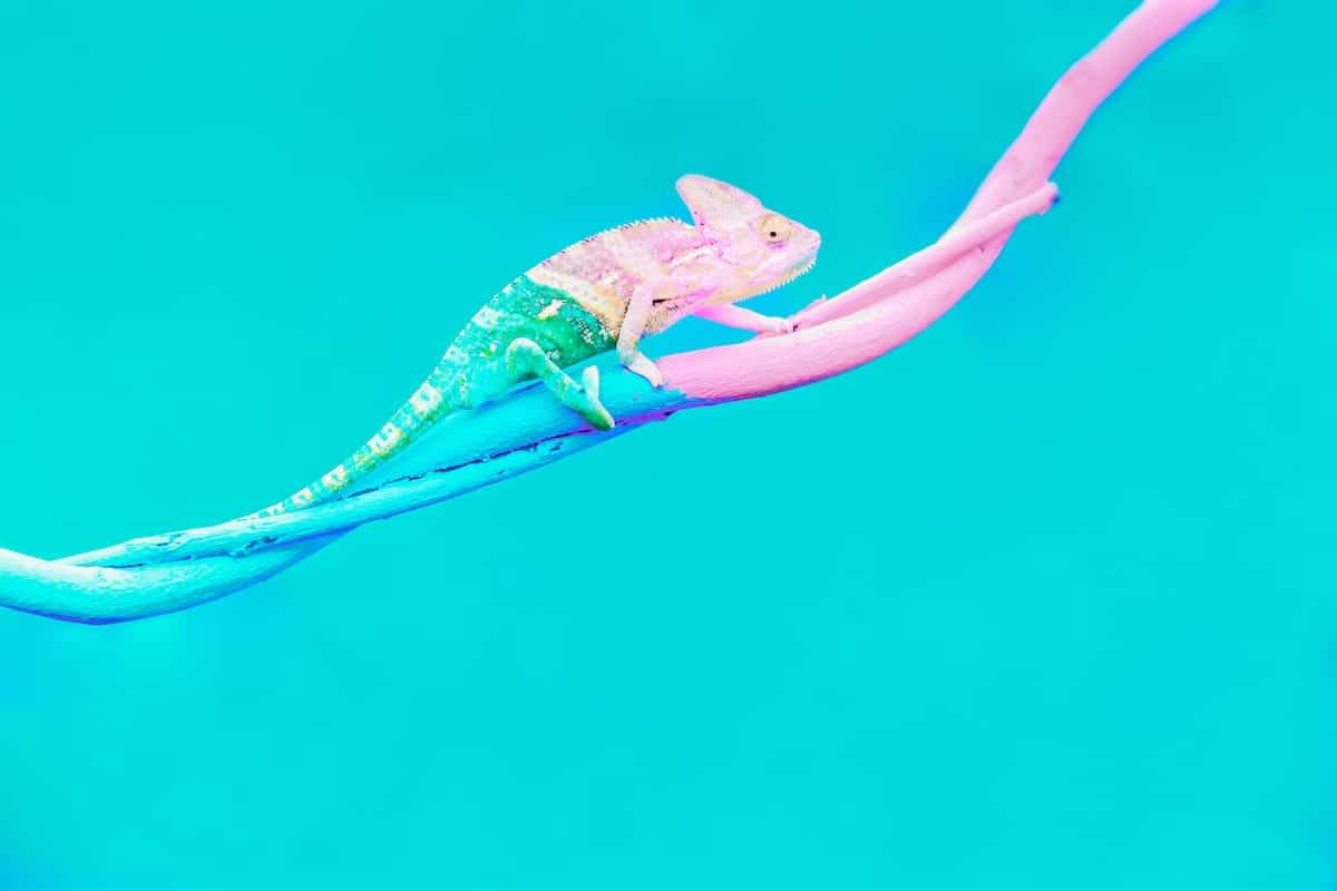 Change-Management-Prozess: So gelingen Veränderungen effektiv