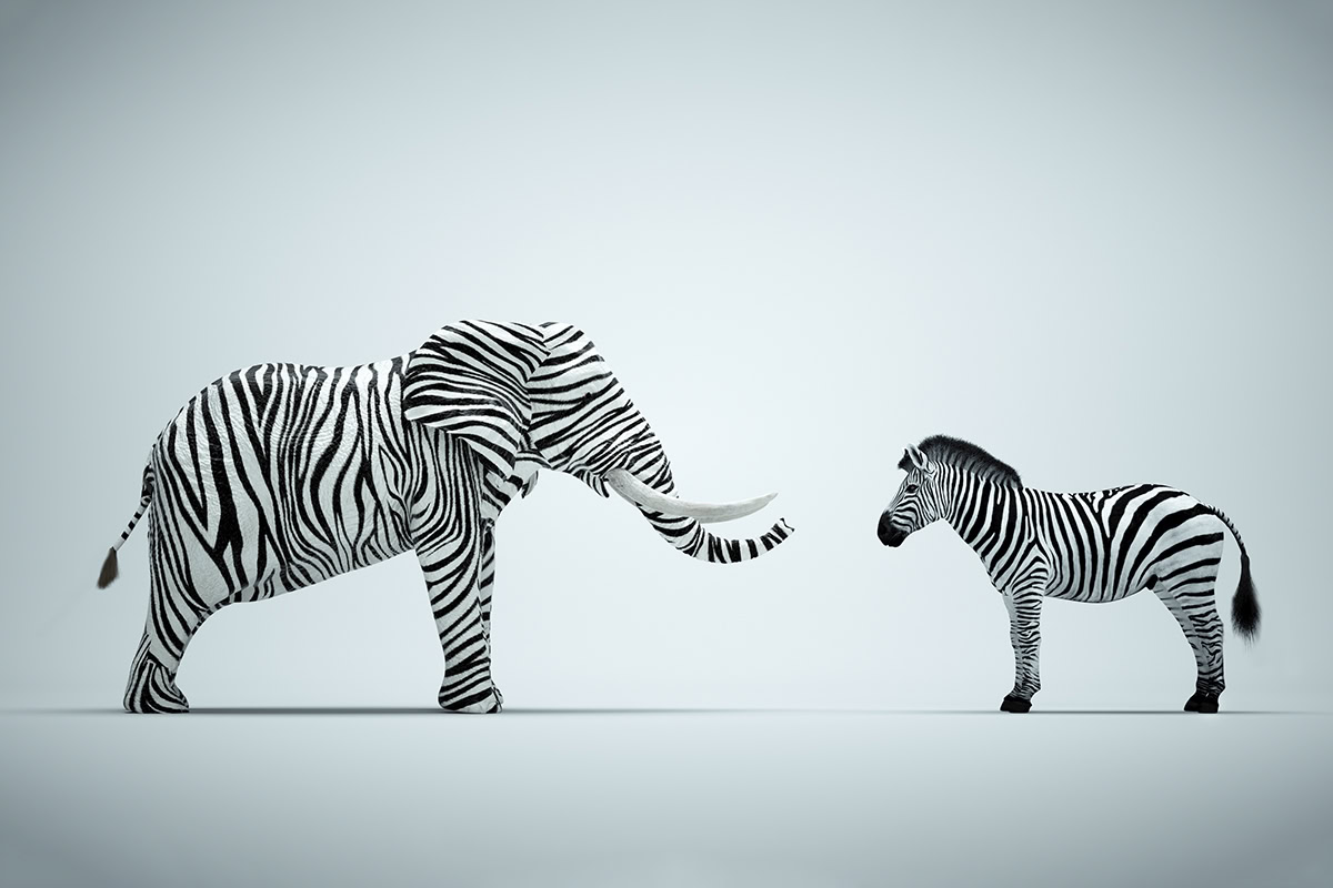 IT-Change-Management: Hintergründe, Ziele und Checkliste