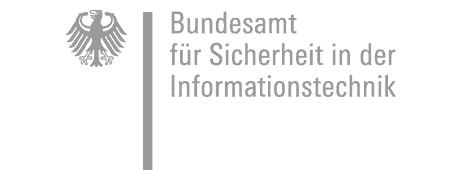 BSI logo in grey color