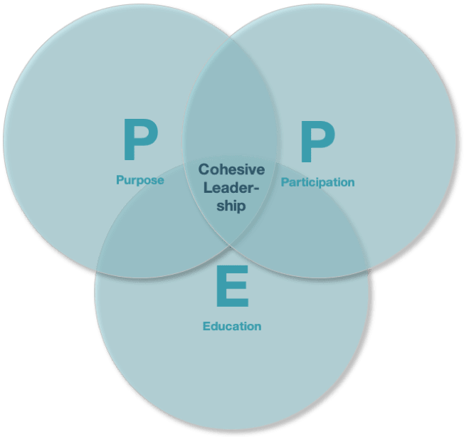 graphic explains cohensive leadership